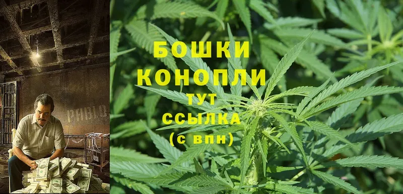 цены   Баймак  Бошки Шишки SATIVA & INDICA 